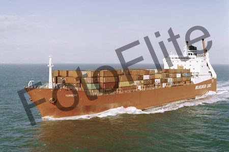 91991.jpg