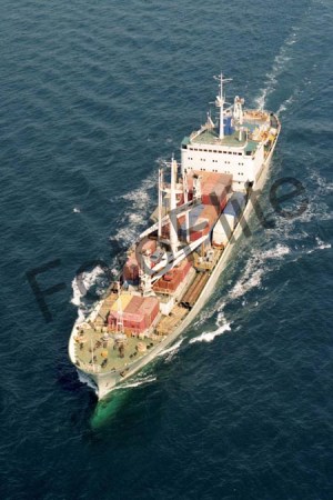 9252.jpg