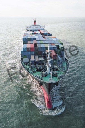 95503.jpg