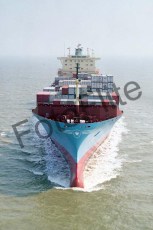 95680.jpg