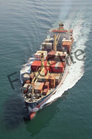 96559.jpg