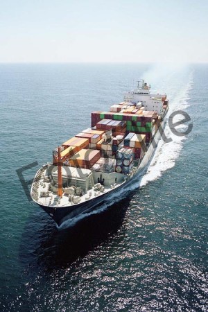 97954.jpg