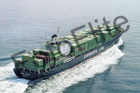 979.jpg