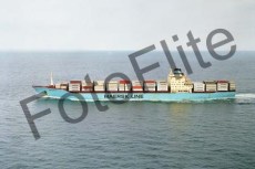99445.jpg