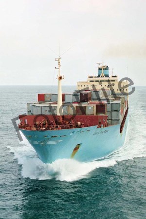99446.jpg