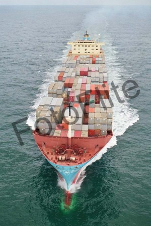 99541.jpg