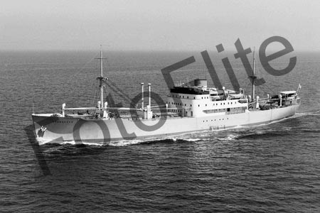 BW06643.jpg