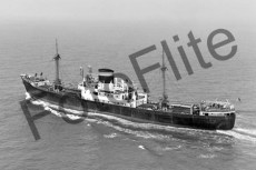 BW06701.jpg