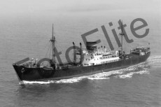 BW06702.jpg