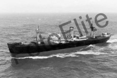 BW16593.jpg