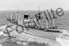 BW21501.jpg