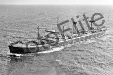 BW23402.jpg