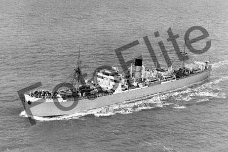BW3353.jpg