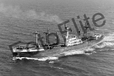 BW4231.jpg