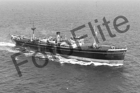 BW4360.jpg