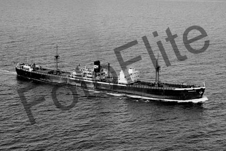 BW4548.jpg