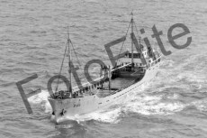 BW662185.jpg