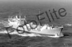 BW670835.jpg