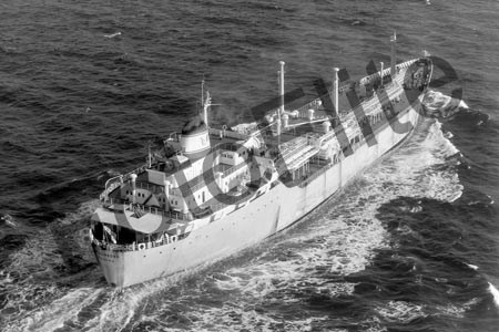 BW680699.jpg