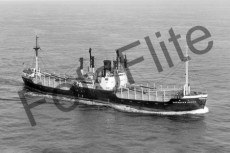 BW681272.jpg