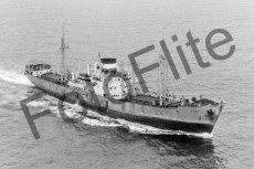 BW683026.jpg