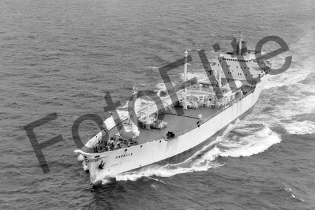 BW684599.jpg