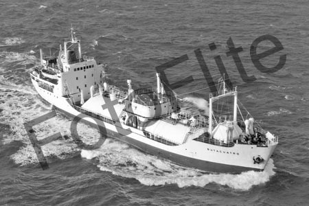 BW690010.jpg