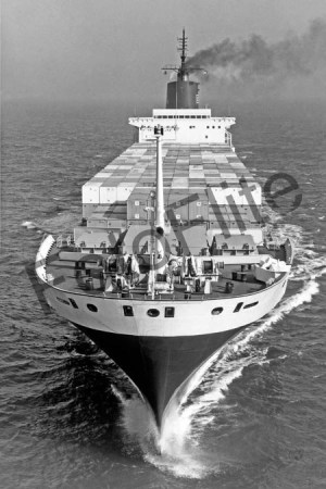 BW690749.jpg