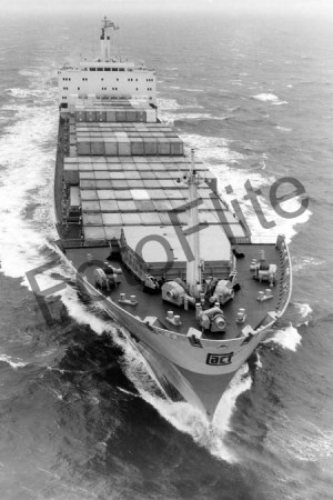 BW690761.jpg