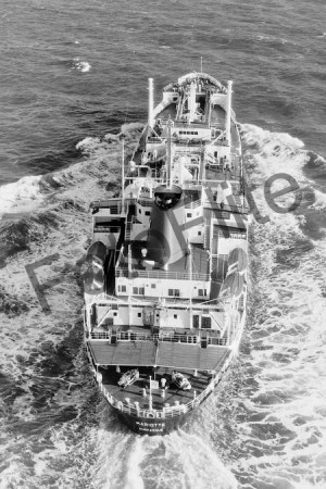 BW694851.jpg