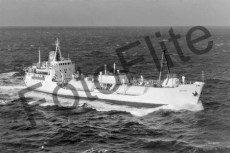 BW700332.jpg