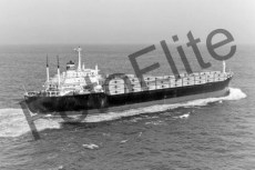 BW700376.jpg