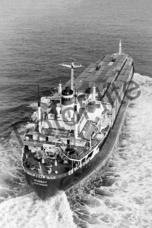 BW700377.jpg