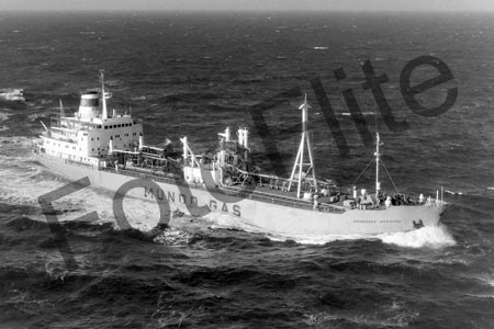 BW700433.jpg