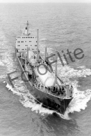 BW700474.jpg