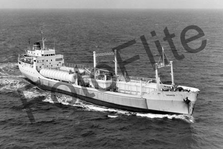 BW700633.jpg
