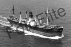 BW702119.jpg