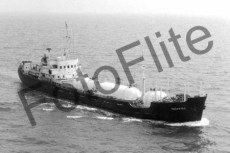 BW702347.jpg