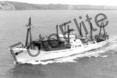 BW702764.jpg