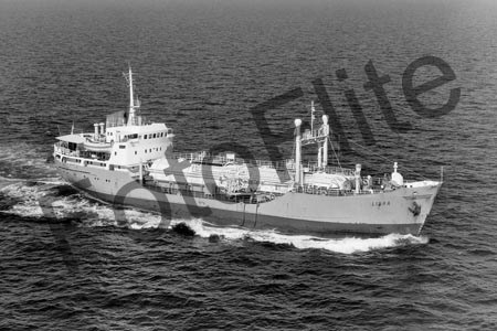 BW704098.jpg