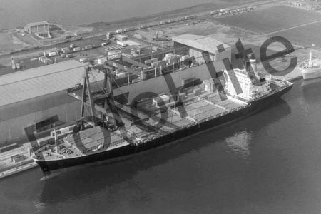 BW704377.jpg