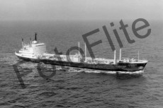 BW704444.jpg