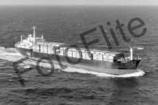 BW704745.jpg