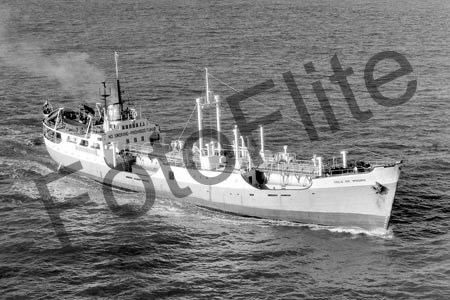BW705016.jpg
