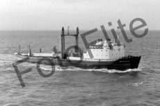 BW705411.jpg
