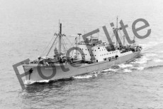 BW710147.jpg