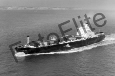 BW710471.jpg