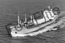 BW711039.jpg