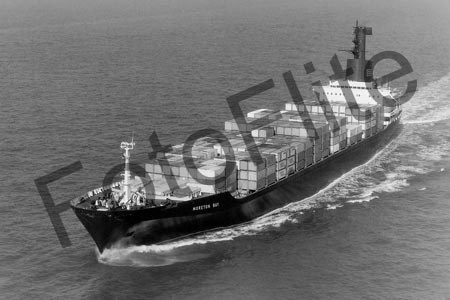 BW711145.jpg