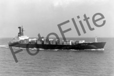 BW711147.jpg